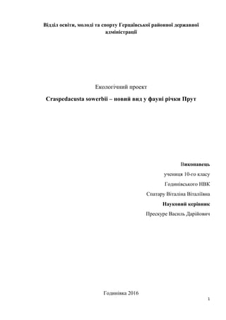 1
Відділ освіти, молоді та спорту Герцаївської районної державної
адміністрації
Екологічний проект
Craspedacusta sowerbii – новий вид у фауні річки Прут
Виконавець
учениця 10-го класу
Годинівського НВК
Спатару Віталіна Віталіївна
Науковий керівник
Прескуре Василь Дарійович
Годинівка 2016
 