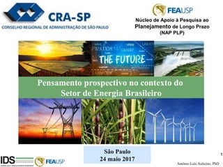 1
1
São Paulo
24 maio 2017
Antônio Luís Aulicino, PhD
Núcleo de Apoio à Pesquisa ao
Planejamento de Longo Prazo
(NAP PLP)
Pensamento prospectivo no contexto do
Setor de Energia Brasileiro
 