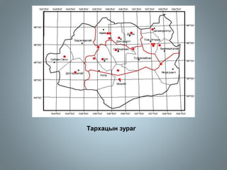 Тархацын зураг
 