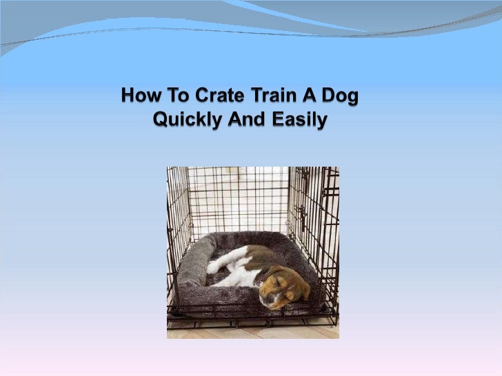 How To Crate Train A Dog Quickly And Easily