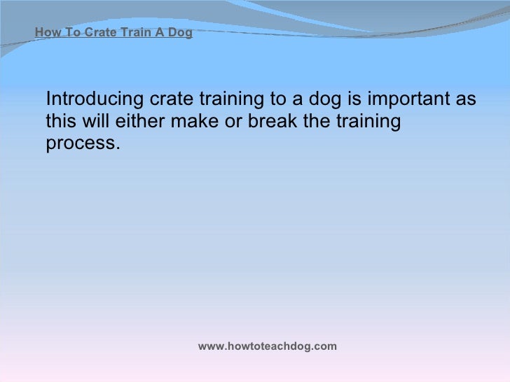 How To Train Dog To Stay In Crate How To Train Dog To Stay In Crate