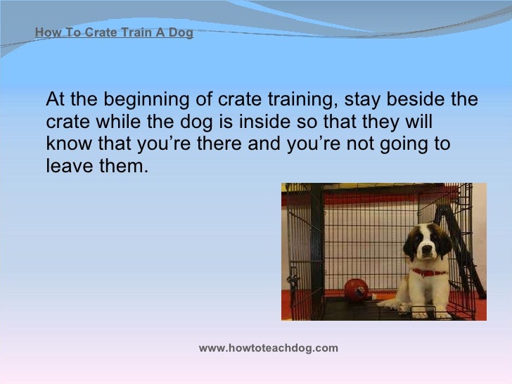 How Quickly Can You Crate Train A Dog How Quickly Can You Crate Train A Dog