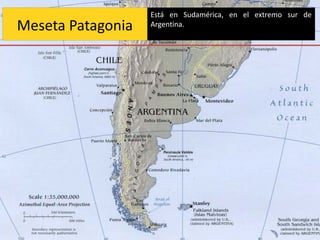 Está en Sudamérica, en el extremo sur de
Meseta Patagonia   Argentina.
 
