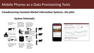 Mobile Phones as a Data Provisioning Tools
Crowdsourcing Livestock Market Information Systems…the pilot
System Schematic
 