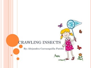 CRAWLING INSECTS
By: Alejandra Carrasquilla Patiño
 
