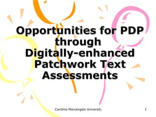 Opportunities for PDP through  Digitally-enhanced Patchwork Text Assessments 