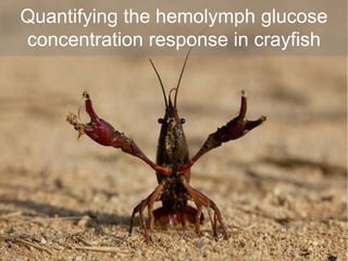 Quantifying the hemolymph glucose 
concentration response in crayfish 
 