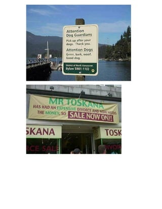 Crazy Andy Funny Signboards