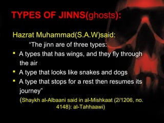 TYPES OF JINNS(ghosts):

Hazrat Muhammad(S.A.W)said:
      “The jinn are of three types:
 A types that has wings, and they fly through
  the air
 A type that looks like snakes and dogs
 A type that stops for a rest then resumes its
  journey”
  (Shaykh al-Albaani said in al-Mishkaat (2/1206, no.
                 4148): al-Tahhaawi)
 