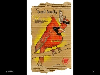 Crazy About Cardinals