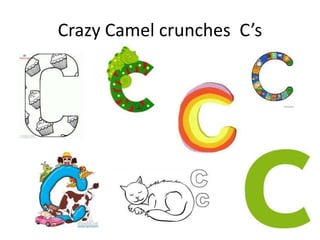 Crazy Camel crunches C’s
 