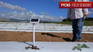 PYCNO: FIELD SENSORS
 