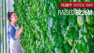 PLENTY: VERTICAL FARM
RAISED$226M
 