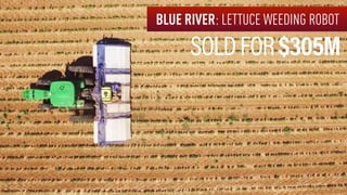 SOLDFOR$305M
BLUE RIVER: LETTUCE WEEDING ROBOT
 