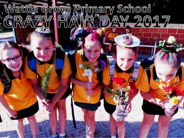 Wattle Grove Primary School Crazy Hair Day 2017