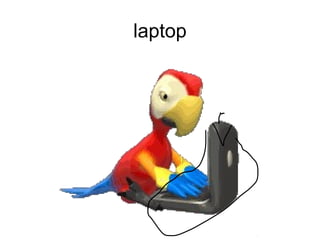 laptop
 