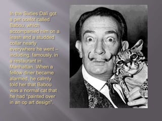 In the Sixties Dalí got
a pet ocelot called
Babou, which
accompanied him on a
leash and a studded
collar nearly
everywhere he went –
including, famously, in
a restaurant in
Manhattan. When a
fellow diner became
alarmed, he calmly
told her that Babou
was a normal cat that
he had “painted over
in an op art design”.
.
 
