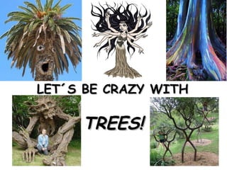 LET´S BE CRAZY WITHLET´S BE CRAZY WITH
TREES!TREES!
 