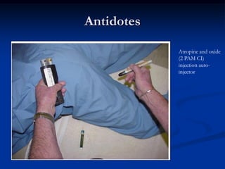 Antidotes

            Atropine and oxide
            (2 PAM CI)
            injection auto-
            injector
 