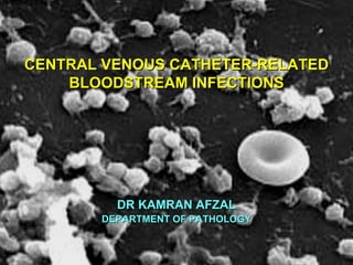 CENTRAL VENOUS CATHETER-RELATED
    BLOODSTREAM INFECTIONS




         DR KAMRAN AFZAL
       DEPARTMENT OF PATHOLOGY
 