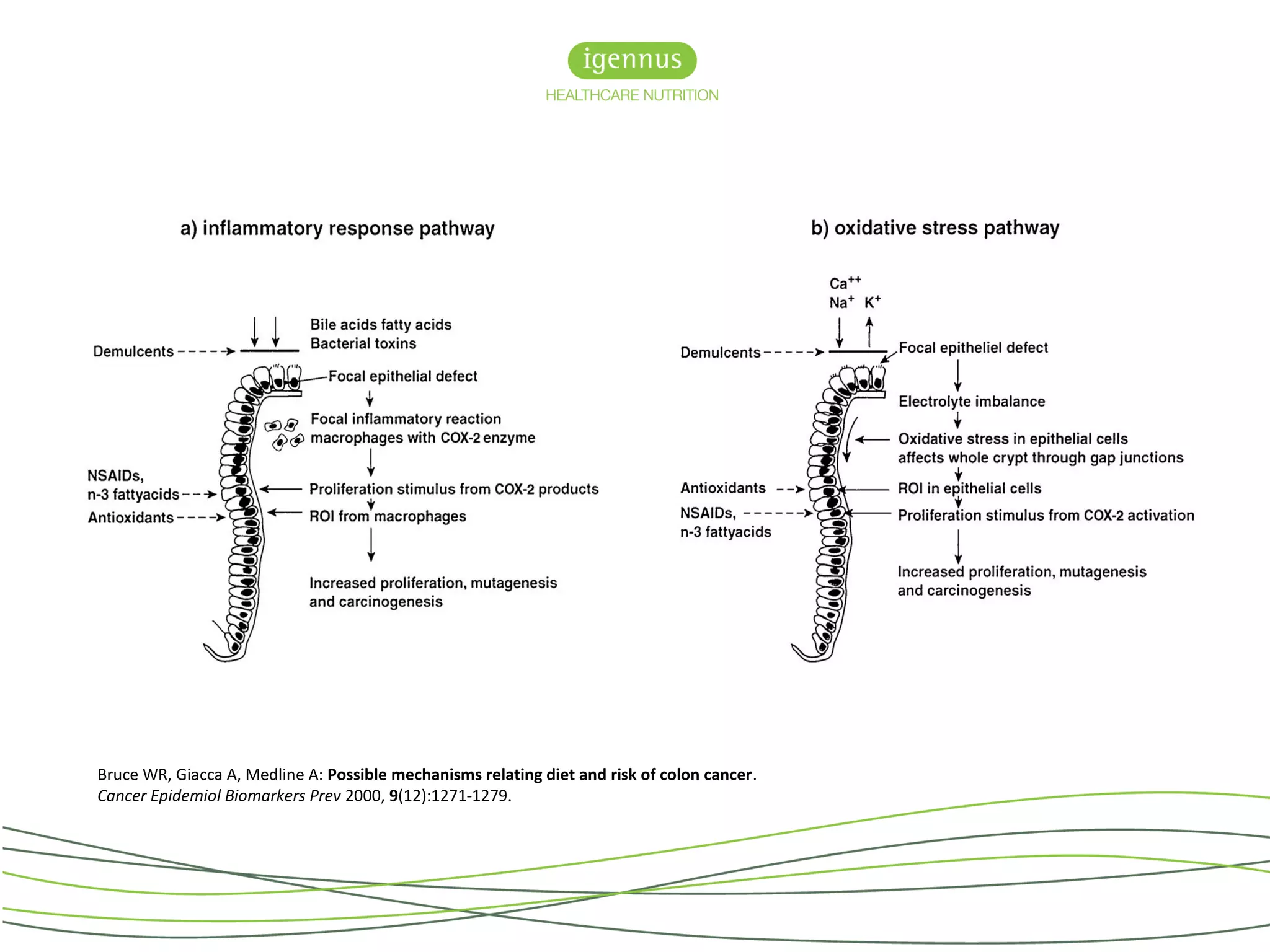 Bruce WR, Giacca A, Medline A: Possible mechanisms relating diet and risk of colon cancer.
Cancer Epidemiol Biomarkers Prev 2000, 9(12):1271-1279.
 