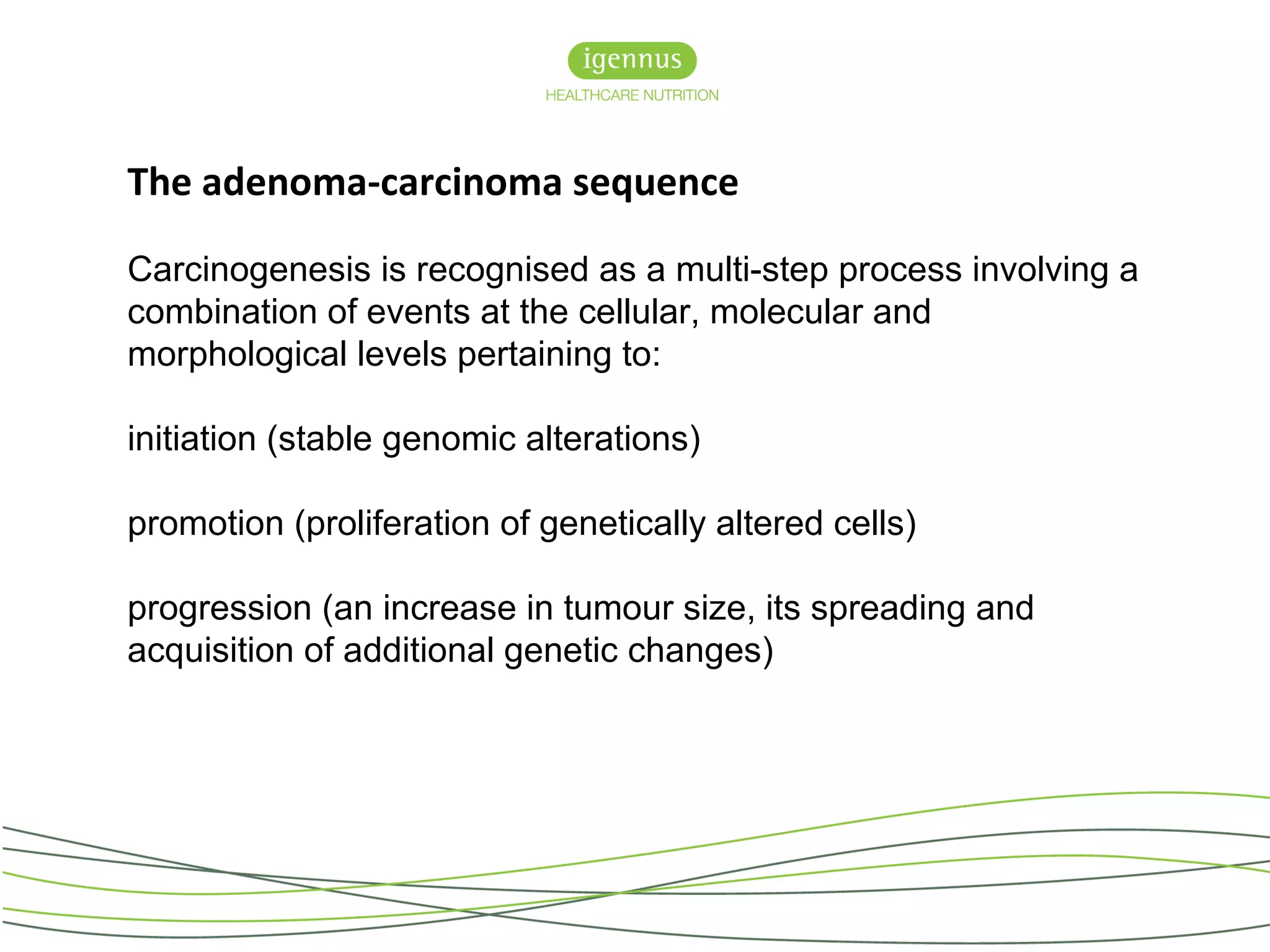 The adenoma-carcinoma sequence
Carcinogenesis is recognised as a multi-step process involving a
combination of events at the cellular, molecular and
morphological levels pertaining to:
initiation (stable genomic alterations)
promotion (proliferation of genetically altered cells)
progression (an increase in tumour size, its spreading and
acquisition of additional genetic changes)
 