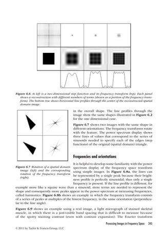 Figure 6.6 At left is a two-dimensional step function and its frequency transform (top). Each panel 
shows a reconstruction with different numbers of terms (shown as a portion of the frequency trans-form). 
The bottom row shows horizontal line profiles through the center of the reconstructed spatial 
Processing Images in Frequency Space 345 
domain image. 
Figure 6.7 Rotation of a spatial domain 
image (left) and the corresponding 
rotation of the frequency transform 
(right). 
© 2011 by Taylor  Francis Group, LLC 
in the overall shape. The line profiles through the 
image show the same shapes illustrated in Figure 6.2 
for the one-dimensional case. 
Figure 6.7 shows two images with the same shape in 
different orientations. The frequency transforms rotate 
with the feature. The power spectrum display shows 
three lines of values that correspond to the series of 
sinusoids needed to specify each of the edges (step 
functions) of the original (spatial domain) triangle. 
Frequencies and orientations 
It is helpful to develop some familiarity with the power 
spectrum display of the frequency space transform 
using simple images. In Figure 6.8a, the lines can 
be represented by a single peak because their bright-ness 
profile is perfectly sinusoidal; thus only a single 
frequency is present. If the line profile is different, for 
example more like a square wave than a sinusoid, more terms are needed to represent the 
shape and consequently more peaks appear in the power spectrum at increasing frequencies, 
called harmonics. Figure 6.8b shows an example in which the frequency transform consists 
of a series of peaks at multiples of the lowest frequency, in the same orientation (perpendicu-lar 
to the line angle). 
Figure 6.9 shows an example using a real image, a l ight micrograph of stained skeletal 
muscle, in which there is a just-visible band spacing that is difficult to measure because 
of the spotty staining contrast (even with contrast expansion). The Fourier transform 
 