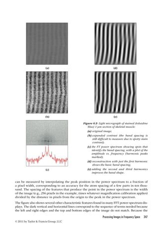 (a) 
(b) 
(c) 
can be measured by interpolating the peak position in the power spectrum to a fraction of 
a pixel width, corresponding to an accuracy for the atom spacing of a few parts in ten thou-sand. 
The spacing of the features that produce the point in the power spectrum is the width 
of the image (e.g., 256 pixels in the example, times whatever magnification calibration applies) 
divided by the distance in pixels from the origin to the peak in the power spectrum. 
The figure also shows several other characteristic features found in many FFT power spectrum dis-plays. 
The dark vertical and horizontal lines correspond to the sequence of terms needed because 
the left and right edges and the top and bottom edges of the image do not match. Because the 
Processing Images in Frequency Space 347 
© 2011 by Taylor  Francis Group, LLC 
(d) 
(e) 
Figure 6.9 Light micrograph of stained (toluidine 
blue) 1 μm section of skeletal muscle: 
(a) original image; 
(b) expanded contrast (the band spacing is 
still difficult to measure due to spotty stain 
contrast); 
(c) the FT power spectrum showing spots that 
identify the band spacing, with a plot of the 
amplitude vs. frequency (harmonic peaks 
marked); 
(d) reconstruction with just the first harmonic 
shows the basic band spacing; 
(e) adding the second and third harmonics 
improves the band shape. 
 