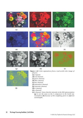 (a) (b) (c) 
(d) (e) (f) 
(g) (h) (i) 
50 The Image Processing Handbook, Sixth Edition 
© 2011 by Taylor  Francis Group, LLC 
(j) 
Figure 1.45 Color separations from a real-world color image of 
flowers: 
(a) original; 
(b) red channel; 
(c) green channel; 
(d) blue channel; 
(e) hue channel; 
(f) saturation channel; 
(g) intensity channel; 
(h) L channel; 
(i) a channel; 
(j) b channel. Notice that the intensity in the HSI representation 
(g) is not the same as the L component in the L•a•b rep-resentation 
(h) because of the weighting given to different 
wavelengths. 
 