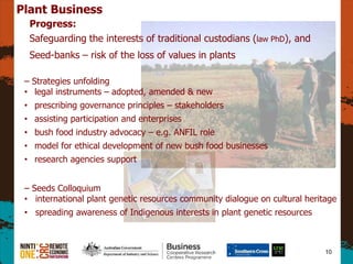 10
Plant Business
Progress:
Safeguarding the interests of traditional custodians (law PhD), and
Seed-banks C risk of the loss of values in plants
C Strategies unfolding
? legal instruments C adopted, amended & new
? prescribing governance principles C stakeholders
? assisting participation and enterprises
? bush food industry advocacy C e.g. ANFIL role
? model for ethical development of new bush food businesses
? research agencies support
C Seeds Colloquium
? international plant genetic resources community dialogue on cultural heritage
? spreading awareness of Indigenous interests in plant genetic resources
 