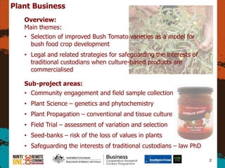 2
Plant Business
Overview:
Main themes:
? Selection of improved Bush Tomato varieties as a model for
bush food crop development
? Legal and related strategies for safeguarding the interests of
traditional custodians when culture-based products are
commercialised
Sub-project areas:
? Community engagement and field sample collection
? Plant Science C genetics and phytochemistry
? Plant Propagation C conventional and tissue culture
? Field Trial C assessment of variation and selection
? Seed-banks C risk of the loss of values in plants
? Safeguarding the interests of traditional custodians C law PhD
 