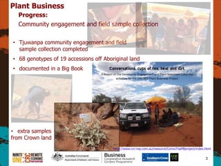 3
Plant Business
Progress:
Community engagement and field sample collection
? Tjuwanpa community engagement and field
sample collection completed
? 68 genotypes of 19 accessions off Aboriginal land
? documented in a Big Book
? extra samples
from Crown land
http://www.crc-rep.com.au/resource/ConvoTeaPBproject/index.html
 
