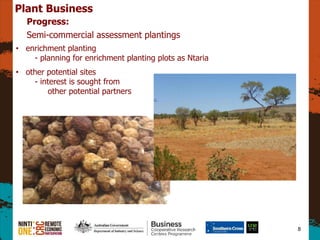 8
Plant Business
Progress:
Semi-commercial assessment plantings
? enrichment planting
- planning for enrichment planting plots as Ntaria
? other potential sites
- interest is sought from
other potential partners
 