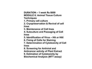 DURATION – 1 week Rs 8000 MODULE 6: Animal Tissue Culture Techniques 1. Primary cell culture 2. Cryopreservation & Revival of cell lines 3. Maintenance of Cell lines 4. Subculture and Passaging of Cell lines 5. Identification of Virus – HA or HAI 6. Fixing of Cells for Staining 7. Determination of Cytotoxicity of Cell lines 8. Screening for Antiviral and Anticancer activity of Plant Extract 9. Estimation of Cytotoxicity by Biochemical Analysis (MTT assay) 