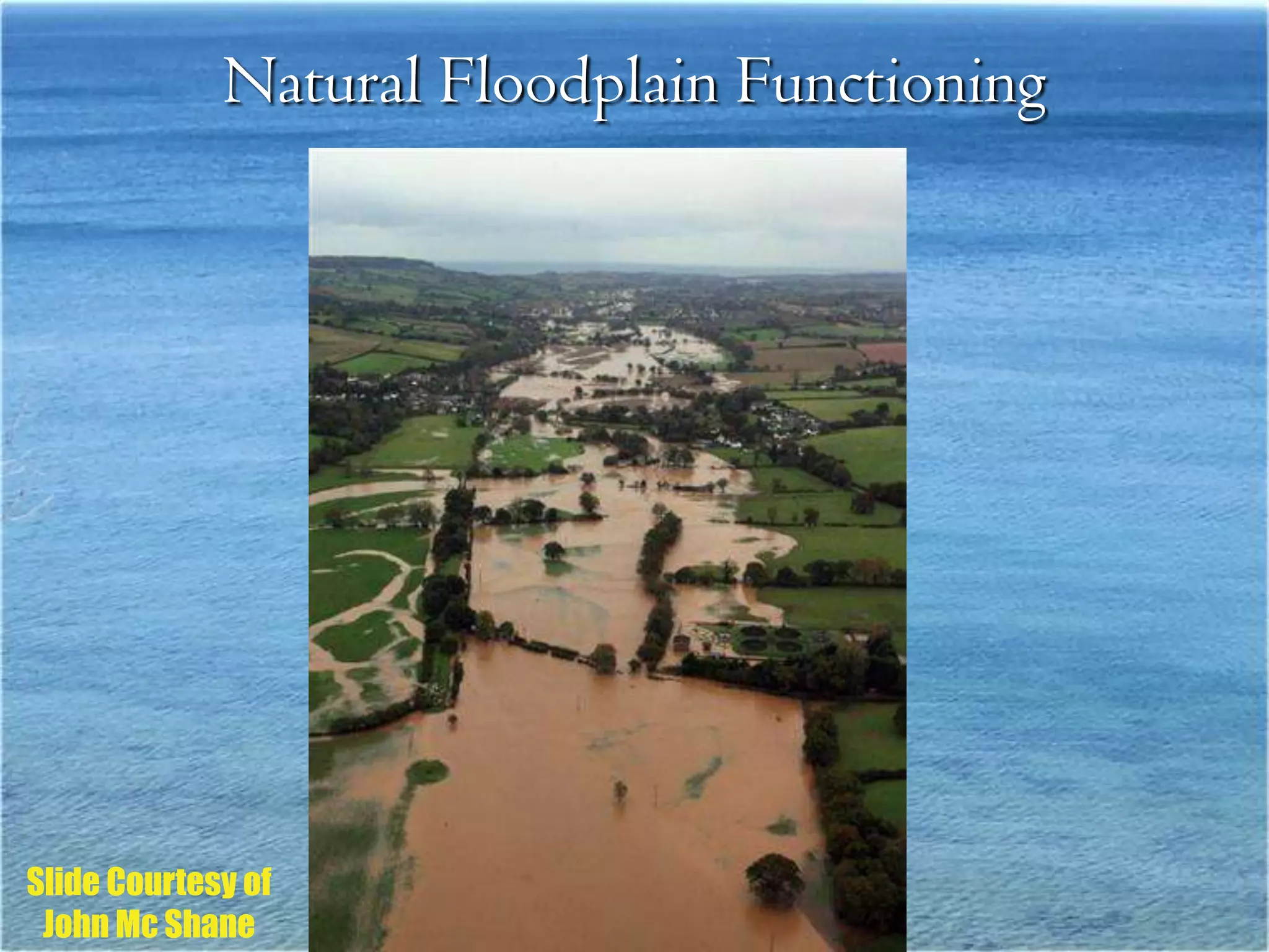 Natural Floodplain Functioning




Slide Courtesy of
 John Mc Shane
 