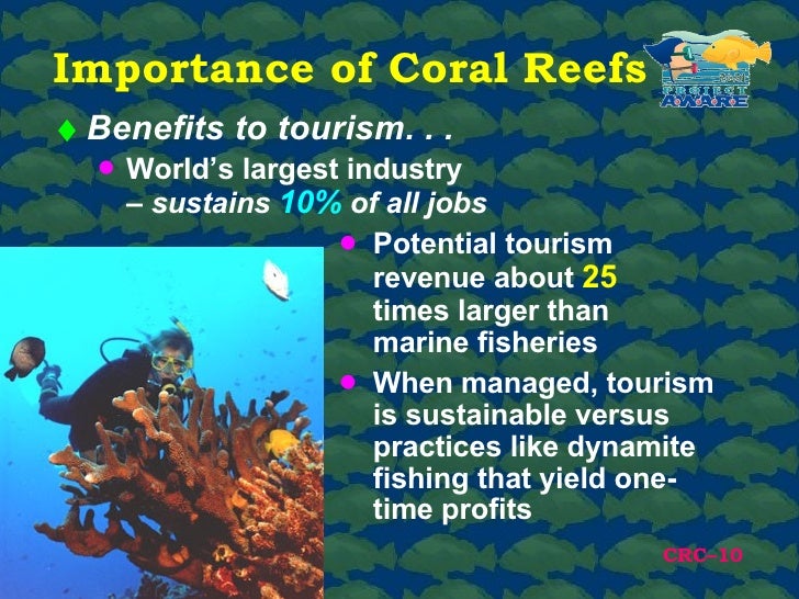 Project AWARE Coral Reef Conservation