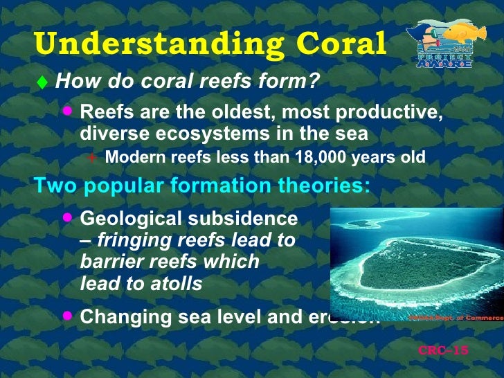 project aware coral reef conservation how do reefs form