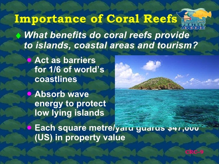 Islands and Coastal Areas