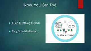 Now, You Can Try!
 3 Part Breathing Exercise
 Body Scan Meditation
 