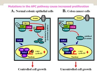 Colorectal molecular pathophysiology.ppt