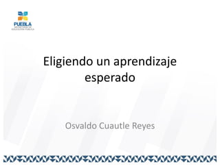 Eligiendo un aprendizaje
esperado
Osvaldo Cuautle Reyes
 