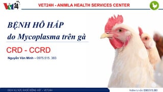 Hotline tư vấn: 0383.515.383
DỊCH VỤ SỨC KHOẺ ĐỘNG VẬT – VET24H
BỆNH HÔ HẤP
do Mycoplasma trên gà
Nguyễn Văn Minh – 0975.515. 383
CRD - CCRD
VET24H - ANIMLA HEALTH SERVICES CENTER
 