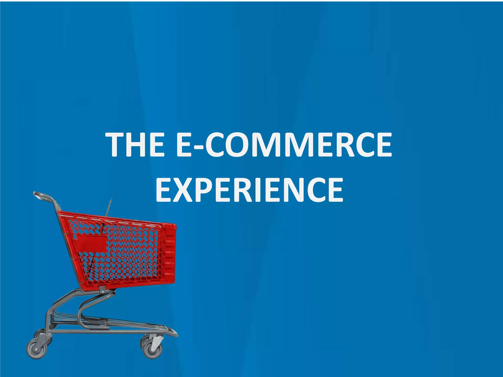 THE E-COMMERCE
EXPERIENCE
 