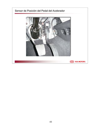 48
Sensor de Posición del Pedal del Acelerador
 
