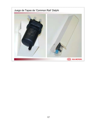 67
Juego de Tapas de ‘Common Rail’ Delphi
 