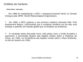 Créditos de Carbono Efeito Estufa - Descrição: Em 1988 foi estabelecido o IPCC ( Intergovernmental Panel on Climate Change) pela WMO- World Meteorological Organization; Em 1990, o IPCC publicou o seu primeiro relatório chamado FAR- First Assessment Report, confirmando que a mudança climática era de fato uma ameaça e pedindo um tratado global que se dirigisse ao problema; O resultado desta discussão levou 166 países mais a União Européia a assinarem a Convenção Quadro das Nações Unidas sobre a Mudança do Clima, em 1992, na Conferência das Nações Unidas sobre o Meio Ambiente, no Rio de Janeiro em 1992. 