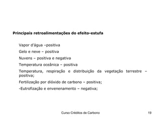 Vapor d’água –positiva Gelo e neve – positiva Nuvens – positiva e negativa Temperatura oceânica – positiva Temperatura, respiração e distribuição da vegetação terrestre – positiva; Fertilização por dióxido de carbono – positiva; -Eutrofização e envenenamento – negativa; O efeito-estufa e o Carbono Principais retroalimentações do efeito-estufa 