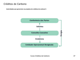 Créditos de Carbono Autoridades que gerenciam os projetos de créditos de carbono? : 