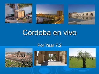 Córdoba en vivoCórdoba en vivo
Por Year 7.2Por Year 7.2
 