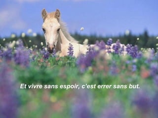 Et vivre sans espoir, c’est errer sans but. 